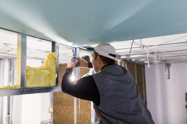 Best Residential Insulation in Alamo, GA