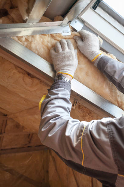 Best Cellulose Insulation in Alamo, GA