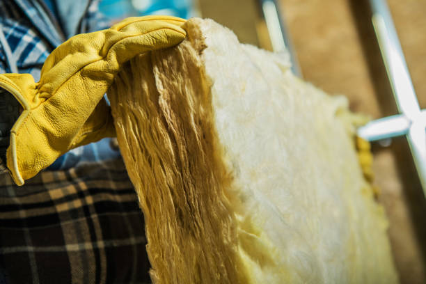 Professional Insulation Contractor in Alamo, GA