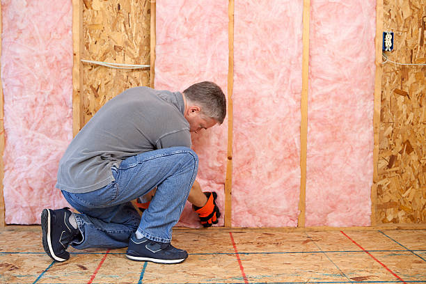 Best Fiberglass Insulation in Alamo, GA