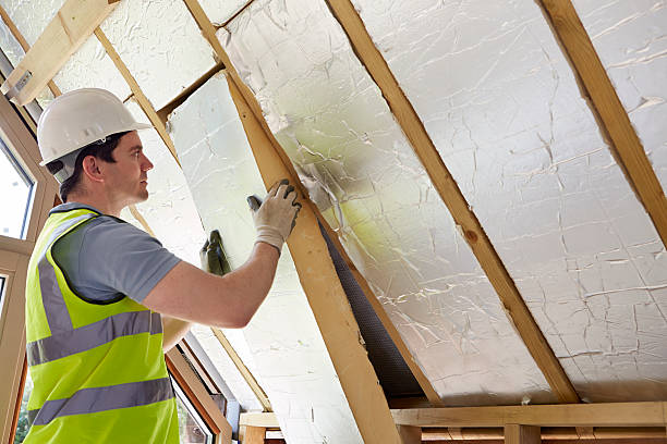 Best Blown-in Insulation in Alamo, GA
